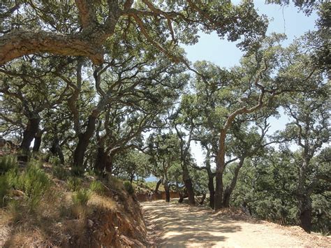 Excursiones desde Algeciras